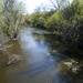 The Huron River near Water Street in Ypsilanti on Friday, May 3. Daniel Brenner I AnnArbor.com